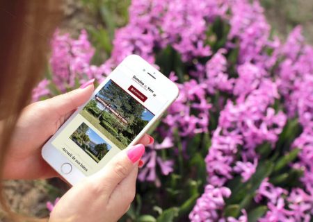 smartmockups_jezhmemb-web