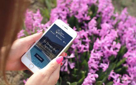 smartmockups_kdedwpxu